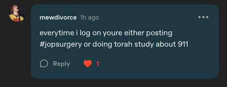 a reply from tumblr user mewdivorce to a post. it reads “every time i log on youre either posting about #jopsurgery or doing torah study about 911” the comment has been liked.